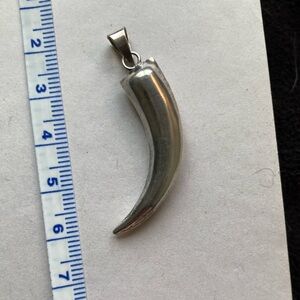 Silver Horn Pendant